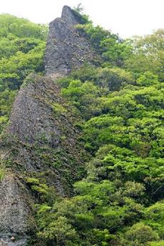 イワヒバとセッコクの岩(立久恵)